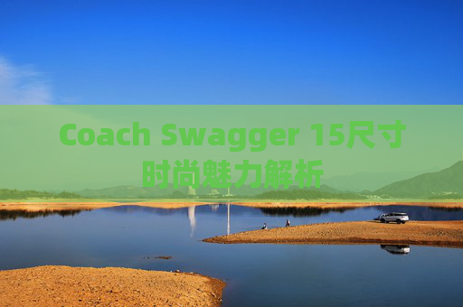 Coach Swagger 15尺寸时尚魅力解析